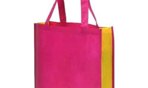 Non Woven Gift Carry Bags
